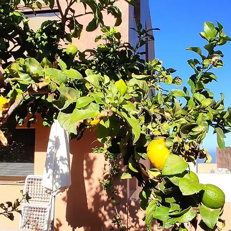 Casa Historia بيت ضيافة